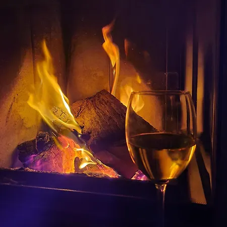 Ostseenahes Mit 3 Schlafzimmern Und Grossem Naturgarten Auf 6000 Qm בית נופש